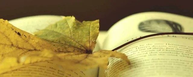 洛诗涵和战寒爵书名叫什么 洛诗涵和战寒爵书名简述