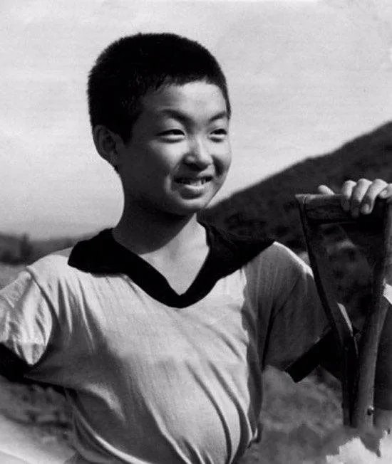 金星怼了娱乐圈那么明星大腕,为何无人回怼,金星在娱乐圈是怎样的存在?