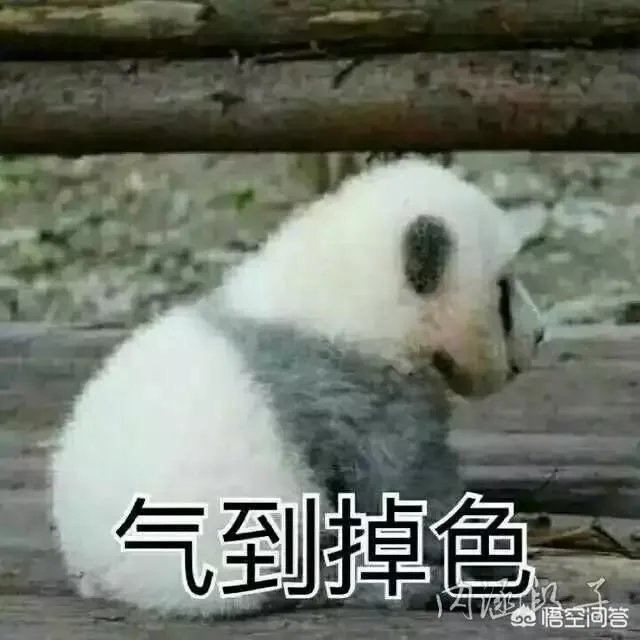 荒野行动现在还有什么BUG？