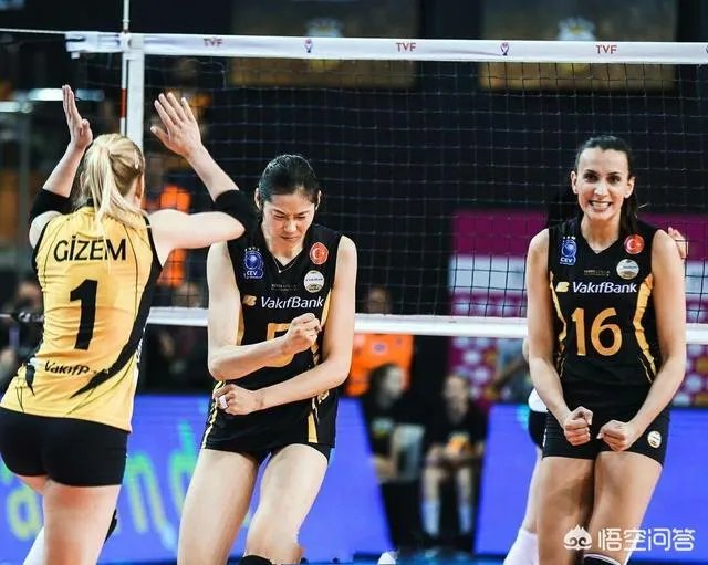 朱婷回国后，会加入哪家排球俱乐部？