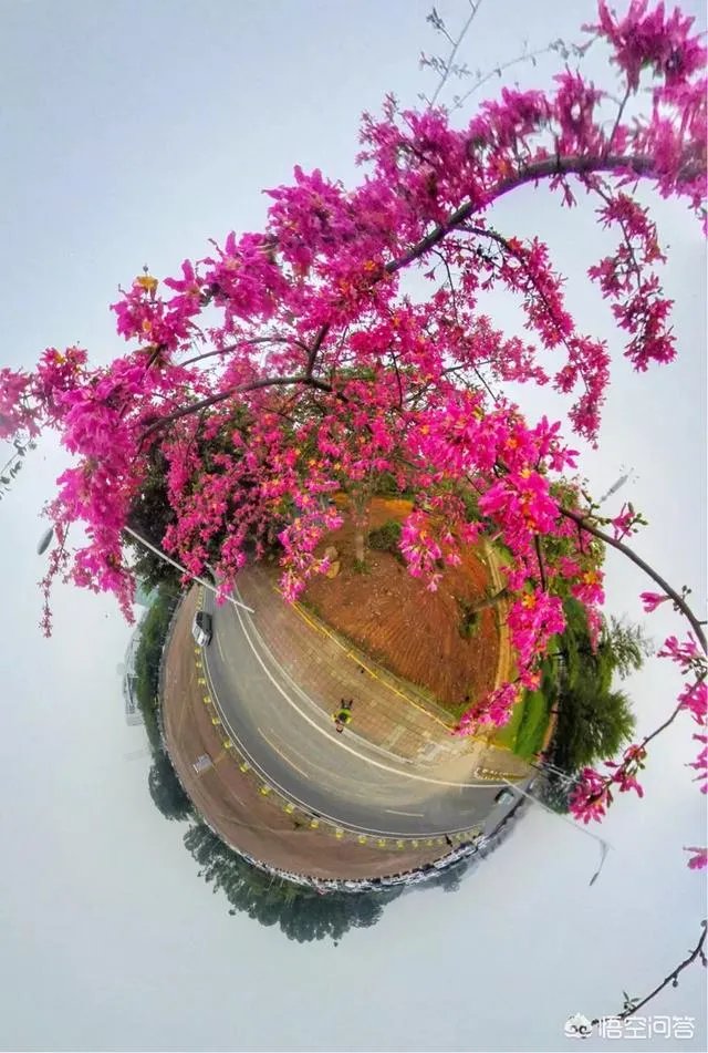 什么是VR摄影？