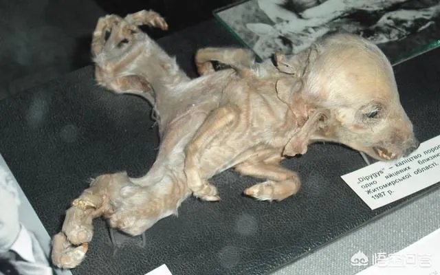 距离原子弹的爆炸已经过去很久了，现在的日本长崎与广岛还残留核辐射吗？对此你怎么看？