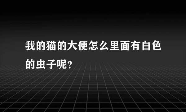我的猫的大便怎么里面有白色的虫子呢？