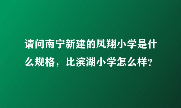 请问南宁新建的凤翔小学是什么规格，比滨湖小学怎么样？