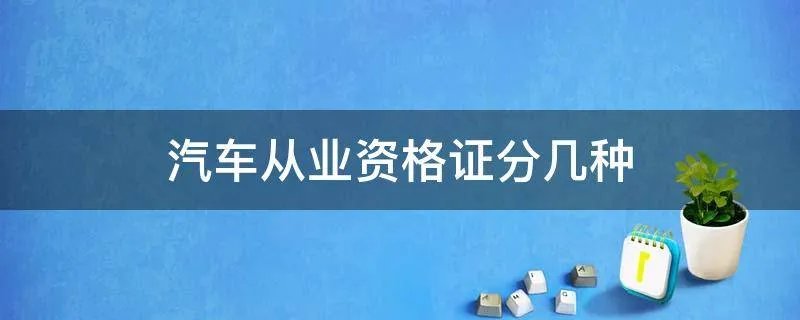 汽车从业资格证分几种
