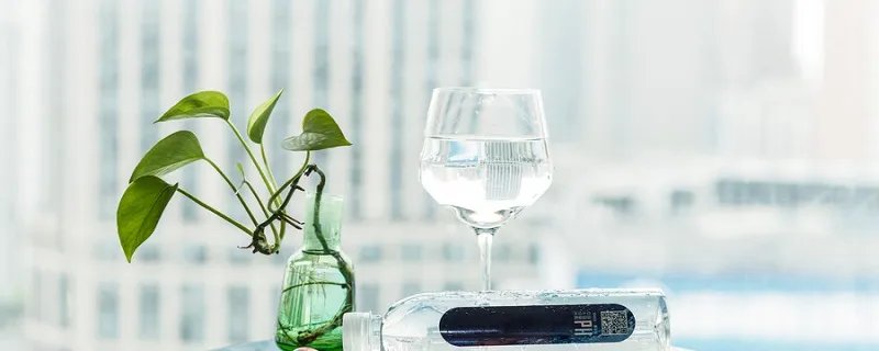 绿萝怎么养才能更旺盛