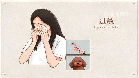 抗生素是消炎药吗