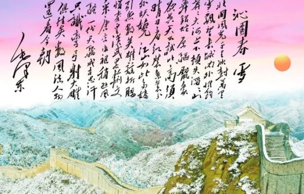 惟余莽莽怎么读