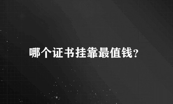 哪个证书挂靠最值钱？