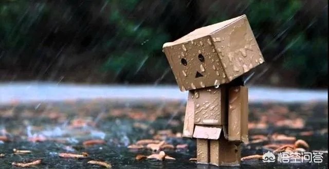 明明是她先闯进我的世界，为何最后心痛的是我？