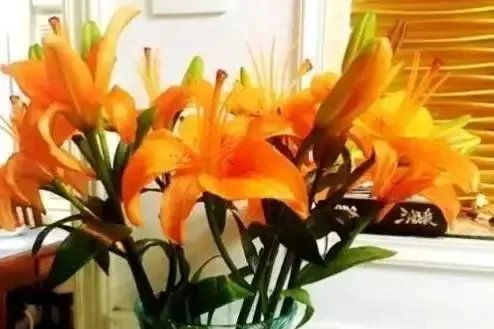 生活小妙招——精致生活每一天（六）