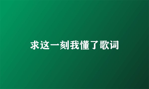 求这一刻我懂了歌词