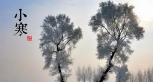 小寒大寒冻成一团是什么意思