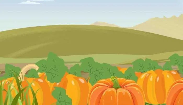 2023年万圣节前夜是几月几日 2023年万圣节前夕是哪一天