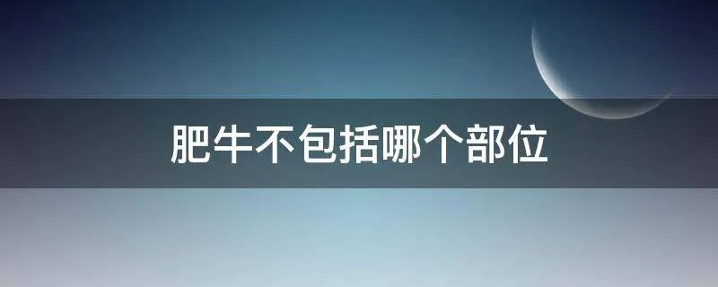 肥牛不包括哪个部位
