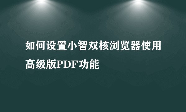 如何设置小智双核浏览器使用高级版PDF功能