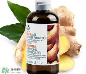 美体小铺生姜洗发水怎么样？the body shop生姜洗发水使用心得