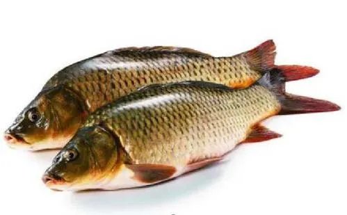 河南洛阳有哪些特产_河南洛阳十大特产推荐