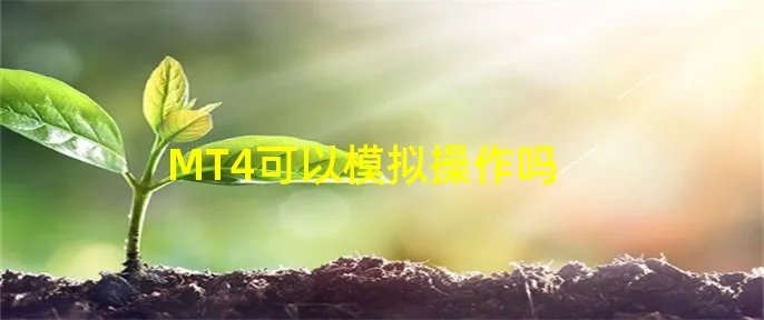 MT4可以模拟操作吗