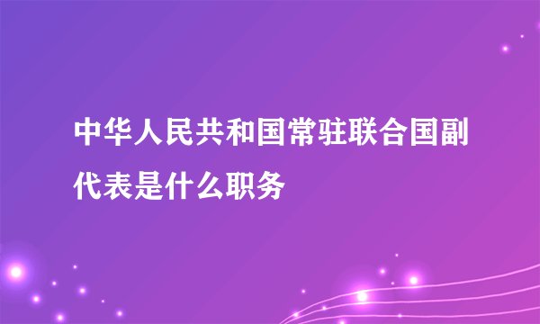 中华人民共和国常驻联合国副代表是什么职务