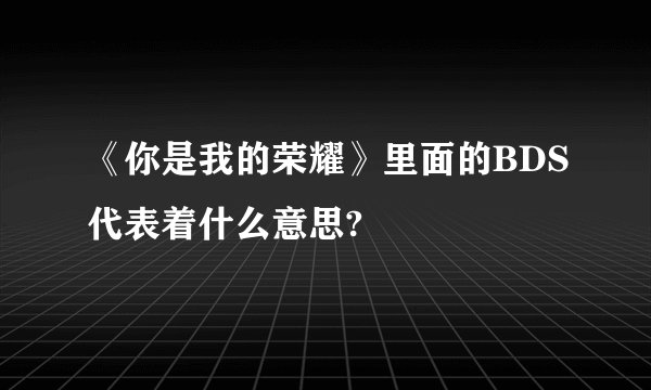 《你是我的荣耀》里面的BDS代表着什么意思?