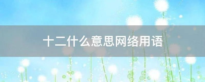 十二什么意思网络用语