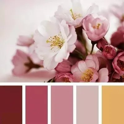 颜色搭配（一）