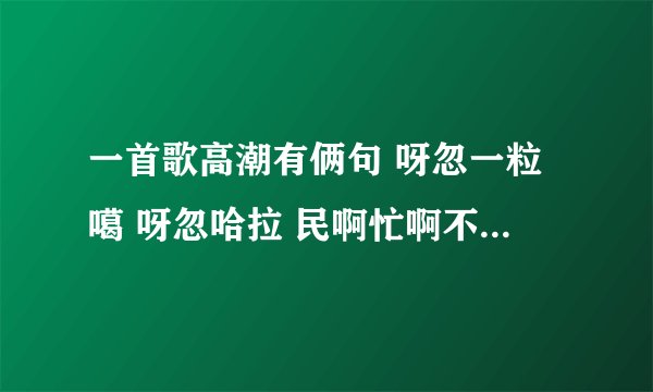 一首歌高潮有俩句 呀忽一粒噶 呀忽哈拉 民啊忙啊不拉黑 阿hi林拉撒加 旮旯阿酷叫什么啊
