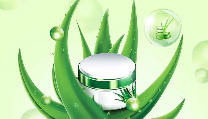 芦荟胶的功效作用 芦荟胶作用是什么