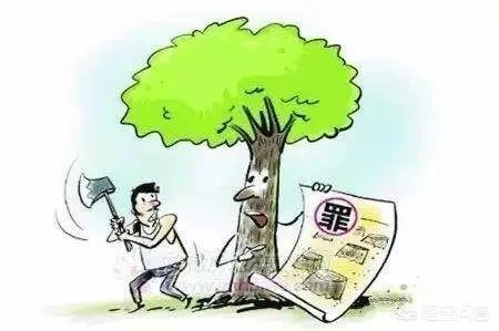 三个人砍一棵树属于犯罪吗