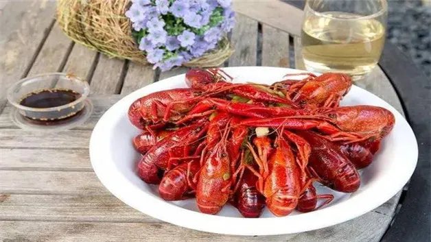 龙虾吃什么食物