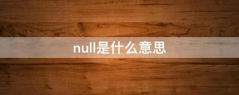 null是什么意思