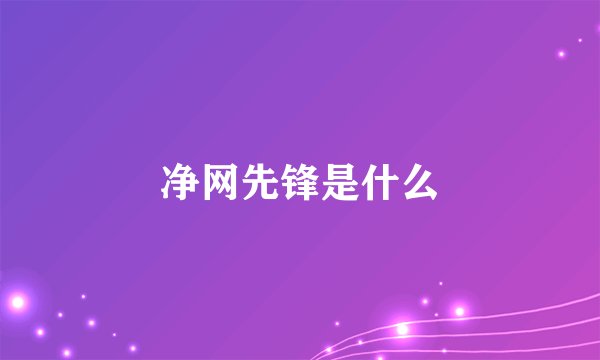 净网先锋是什么