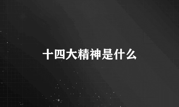 十四大精神是什么