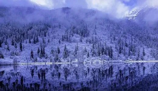 四川阿坝达古冰山景区大雪纷飞情景如何？
