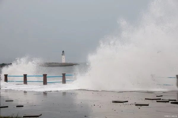 如何看地啊超强台风利奇马登陆浙江，有什么好的办法来应对台风的危害呢？