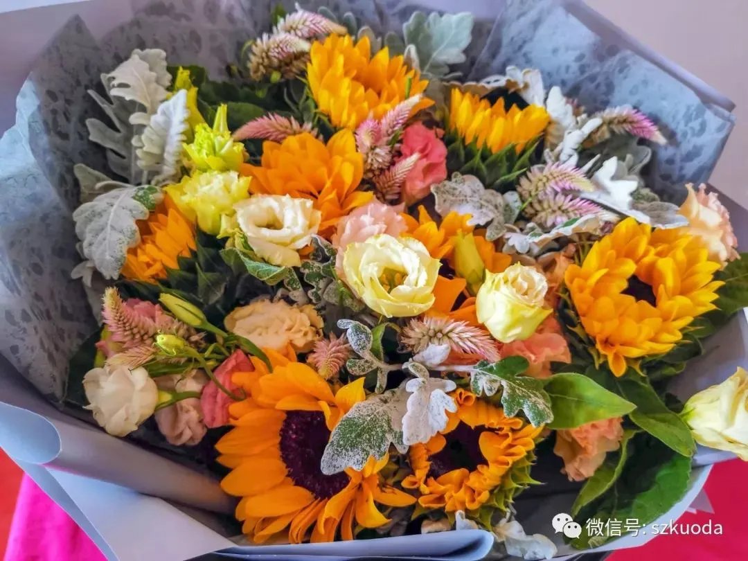 恭祝狮山原著丹姐家开工大吉！