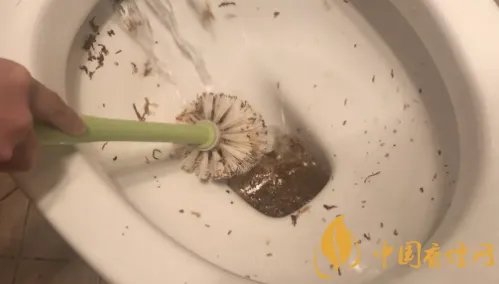 烟盒有什么用 烟盒里的锡纸有什么用