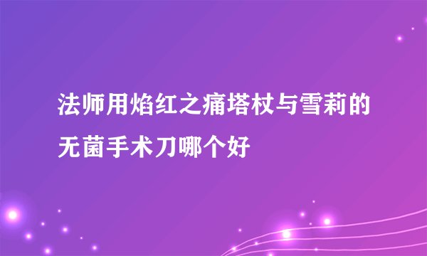 法师用焰红之痛塔杖与雪莉的无菌手术刀哪个好