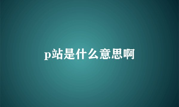 p站是什么意思啊