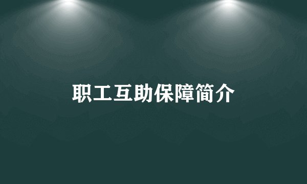 职工互助保障简介