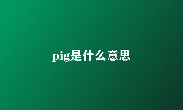 pig是什么意思