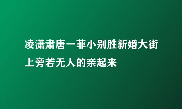 凌潇肃唐一菲小别胜新婚大街上旁若无人的亲起来