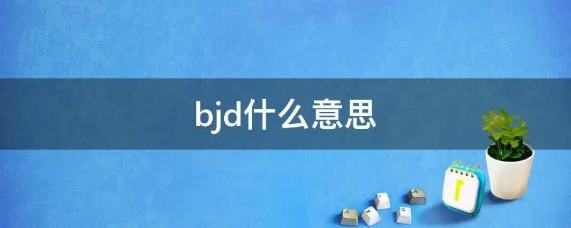 bjd什么意思