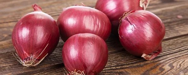 血糖高吃什么好