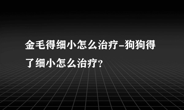 金毛得细小怎么治疗-狗狗得了细小怎么治疗?