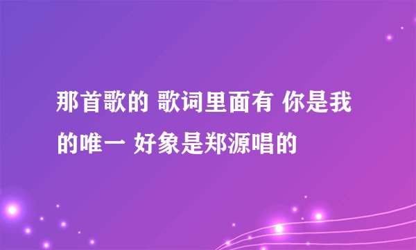 那首歌的 歌词里面有 你是我的唯一 好象是郑源唱的