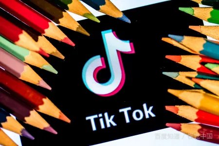 如何看待Tik Tok起诉美国政府的决定，你会支持吗？