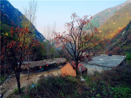 拆秦岭别墅的真正原因是什么