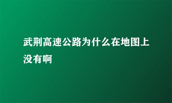 武荆高速公路为什么在地图上没有啊